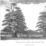Hayman Rooke