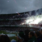 Marcelo Tolomeotti