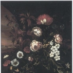 Maria Withoos