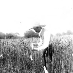 Mark Alfred Carleton