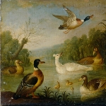 Marmaduke Cradock