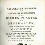 Maarten Houttuyn