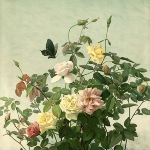 George Lambdin