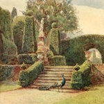 George Elgood