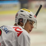 Gustav Possler