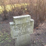 Hans Berr