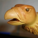 Hawk Littlejohn