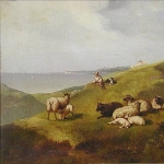Henry Willis