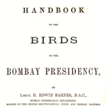 Henry Barnes