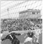 Herbert Schoen
