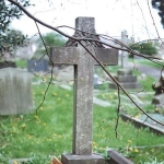 Herbert Reade