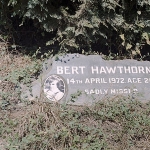 Bert Hawthorne