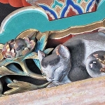 Hidari Jingoro