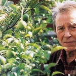 Iakovos Kambanelis