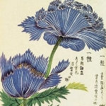 Iwasaki Tsunemasa
