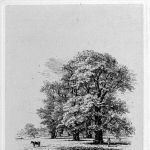 Jacob Strutt