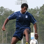 David Stokes