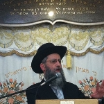 David Yosef