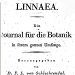 Diederich Schlechtendal