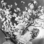 Dixie Lee