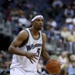 Dominic McGuire