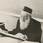 Dovid Lifshitz