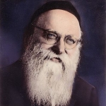 Dovid Shlomo Novoseller