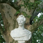 Carlo Mecklenburg