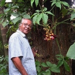 Dwijen Sharma