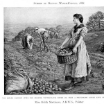 Edith Martineau
