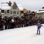 Elin Ek