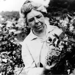 Elizabeth White