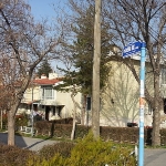 Engin Arık