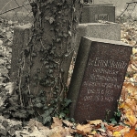 Ernst Steinitz