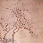 Fei Danxu
