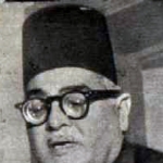 Fekry Abaza
