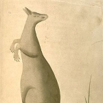 Frederick Nodder