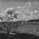 Friedrich Sellow