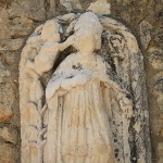 Canus Natus