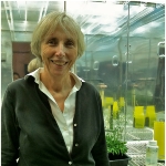 Caroline Dean