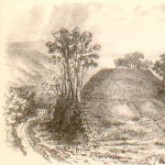 Christian Maclagan