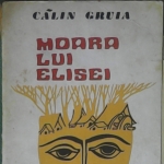 Calin Gruia