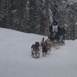 Dallas Seavey