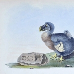 Alexander Melville