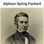 Alpheus Packard