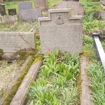 Andrew Common
