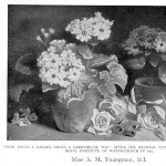 Annie Youngman