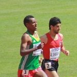 Awwad Al-Sharafat