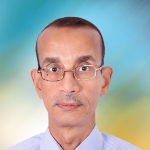 Gamal A. Elmegeed