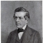 David Strauss